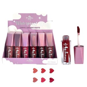 LABIAL LIQUIDO 6 TONOS PM2026 (BOX X 24 UNIDADES)